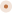 punto